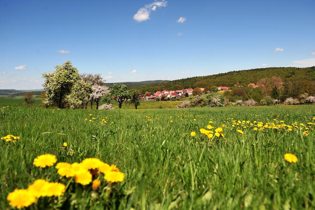 Landhotel Zur Gruenen Kutte Bernshausen Exteriér fotografie