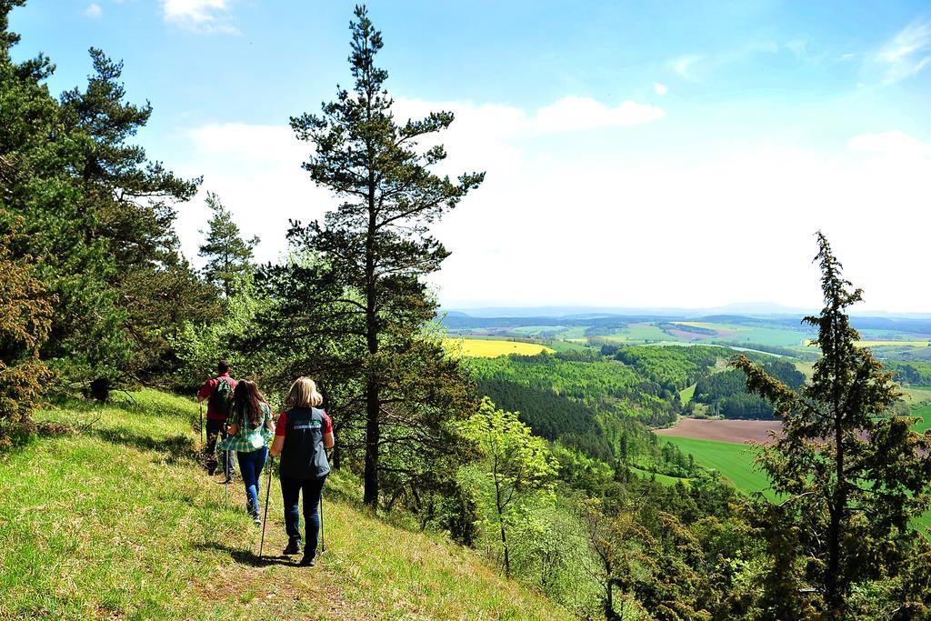 Landhotel Zur Gruenen Kutte Bernshausen Exteriér fotografie