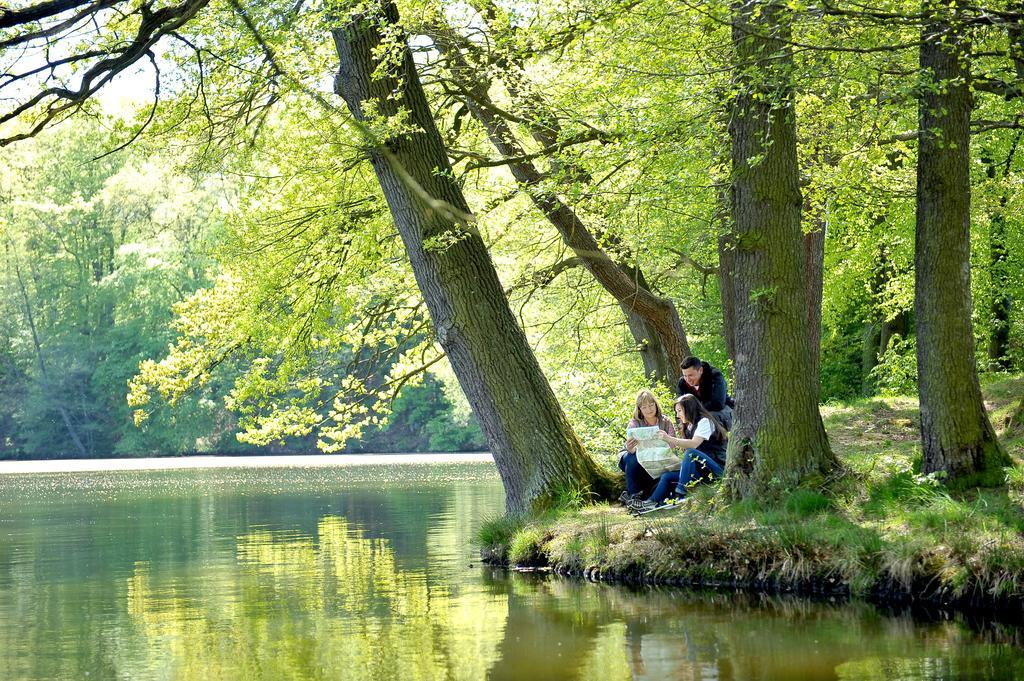 Landhotel Zur Gruenen Kutte Bernshausen Exteriér fotografie