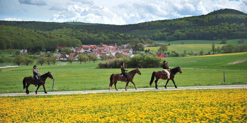 Landhotel Zur Gruenen Kutte Bernshausen Exteriér fotografie