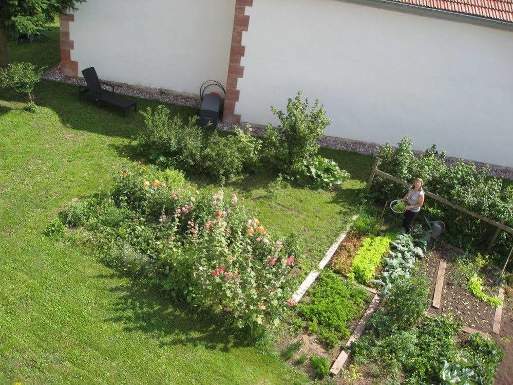 Landhotel Zur Gruenen Kutte Bernshausen Exteriér fotografie
